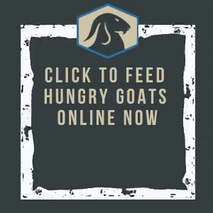 Feed Hungry Goats Now